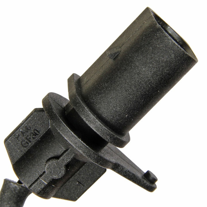 Photo - Close Up