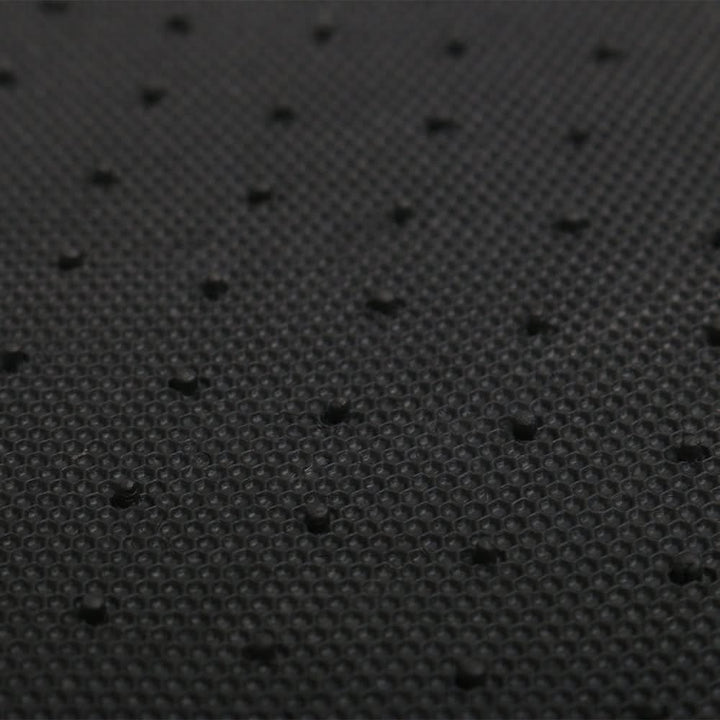 1999-2005 BMW E46 3-Series 2001-2006 BMW M3 Coupe Floor Mat Nylon