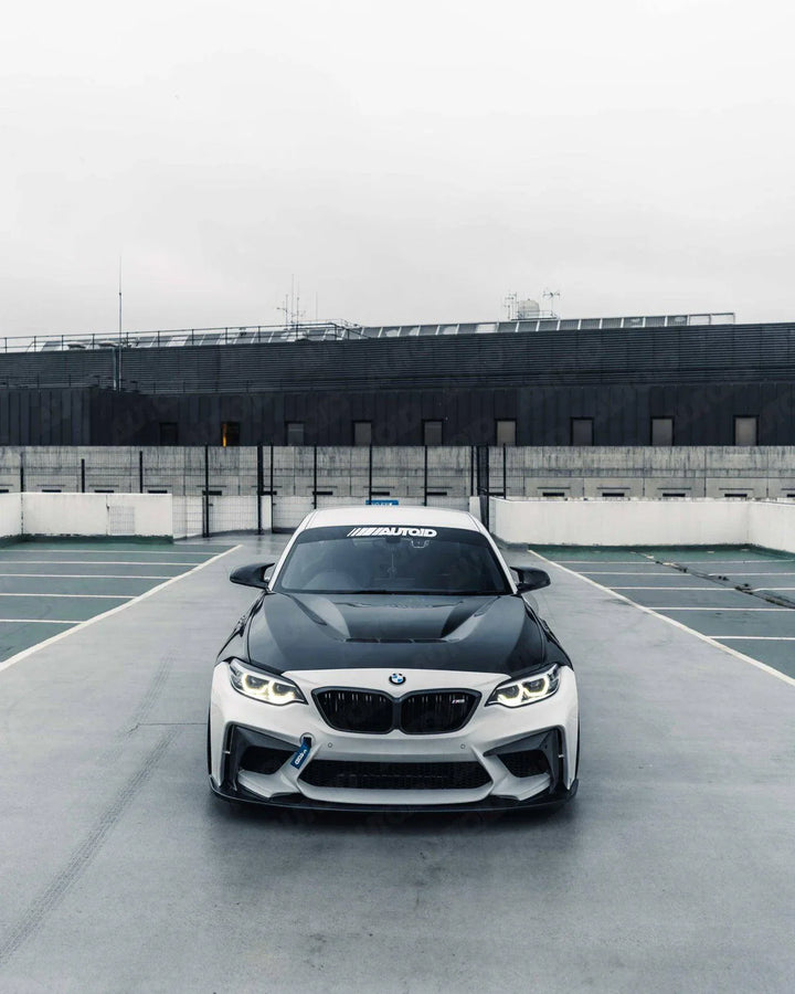 BMW M2 F87, 2 Series F22, 1 Series F20 Pre-Preg Carbon Fiber Hood by TRE (2014-2021)