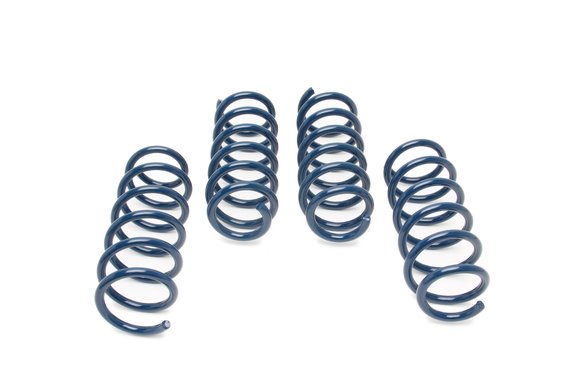 Dinan Performance Spring set - 2011-2016 BMW 550i F10
