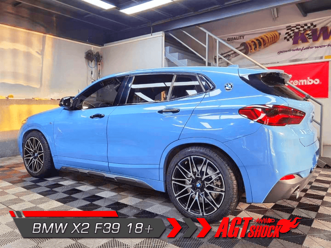 AGT Shock 2018+	F39	X2 MK1 Front Inverted  Fork/Rear Flip-Front Spring Rate: 7K190 Rear Spring Rate: 6K180