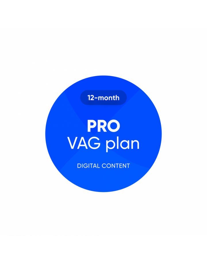 OBDEleven Pro VAG Plan - 12 Months