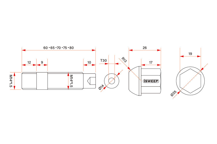 iSWEEP Titanium Wheel Stud Conversion